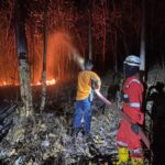 Kebakaran Hutan dan Lahan di Indonesia
