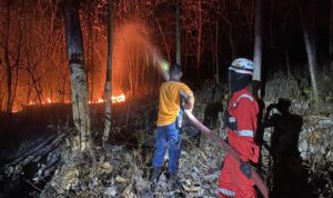 Kebakaran Hutan dan Lahan di Indonesia